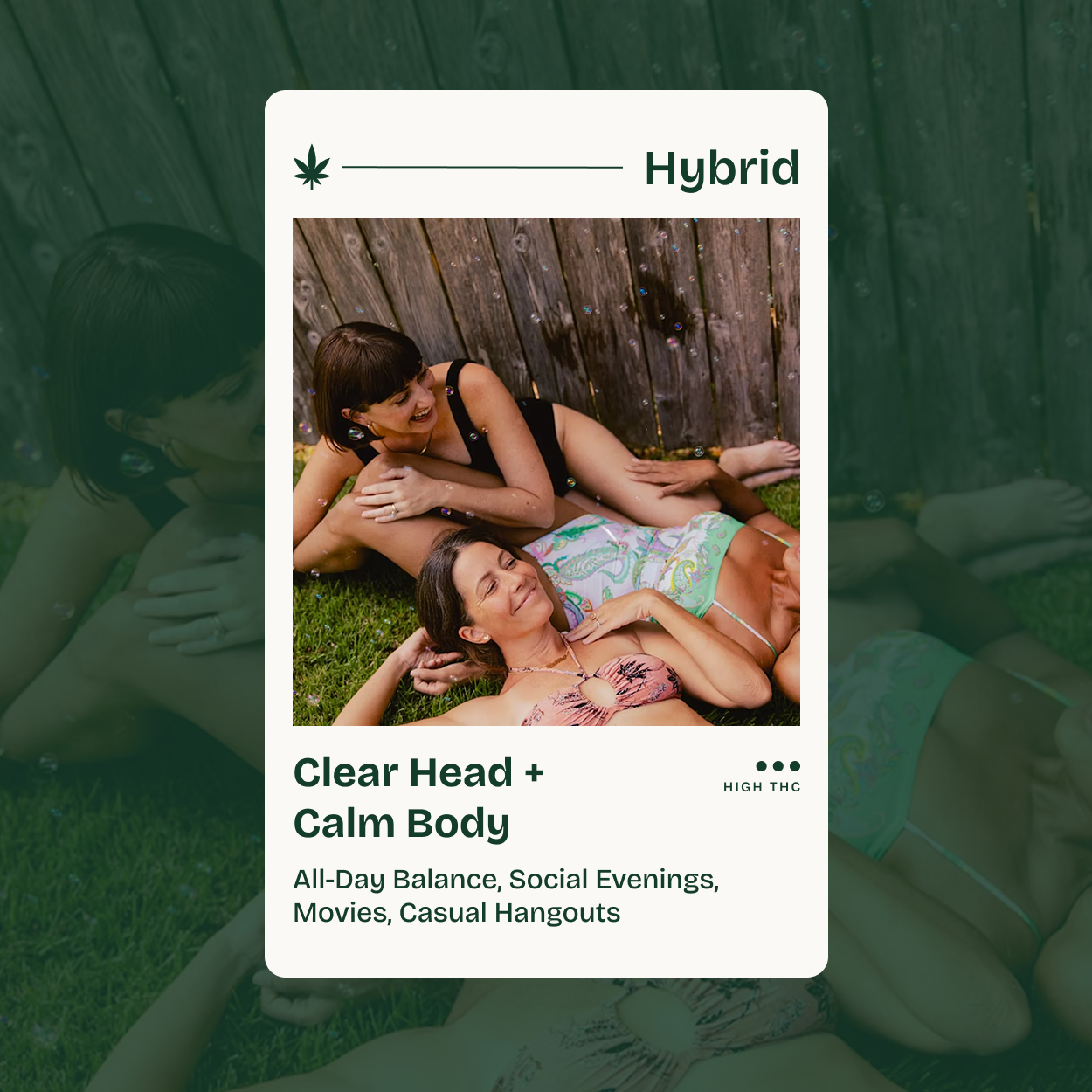 Hybrid THC Sample Bundle – Balanced Bliss Collection