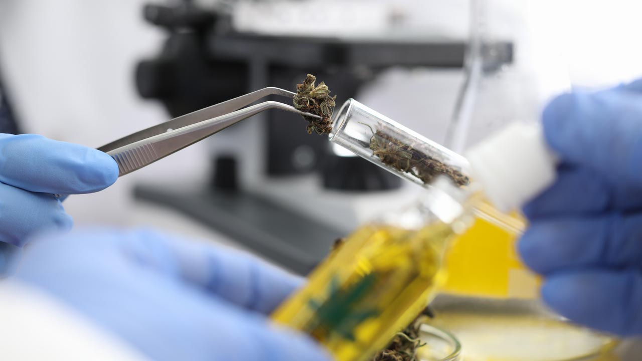 6 Benefits Of HHC Cannabinoid - Erth Wellness