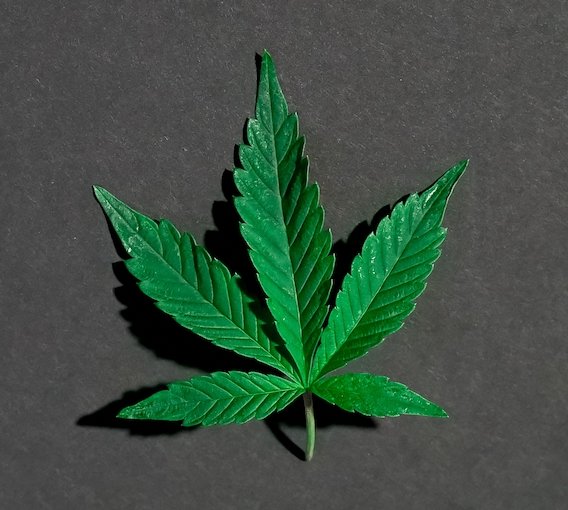 What Is Complaint Delta-9 THC? - Erth Wellness