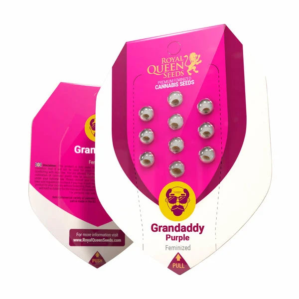Royal Queen Seeds – Granddaddy Purple Feminized Seeds (Heavy-Hitting Dessert Indica) - 3 Seeds
