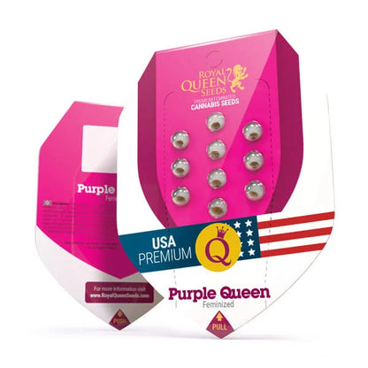 Royal Queen Seeds – Purple Queen Feminized Seeds (Purple Kush Hybrid) - 3 Seeds